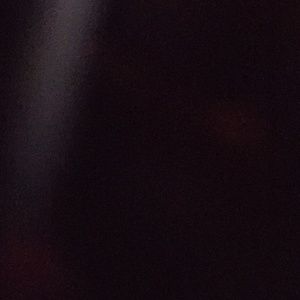 Meet your Posher, Ronni